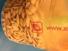 德禄酸奶(莫家街店)-德禄酸奶(莫家街店)