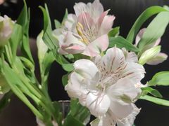 -拾久(朝阳公园店)