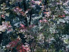 -本溪关山湖风景区