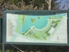 -新江湾城公园
