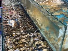 -港畔赶海蒸汽海鲜烧烤自助(仙螺岛店)