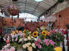-金科花卉市场