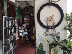 -槟城街头艺术街区