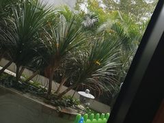 -马家斑.鲜鱼火锅(松湖万科店)