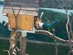 -西霞口神雕山野生动物世界