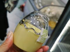 蛋壳布丁-白色日记·手作酸奶(麦凯乐店)