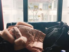 -普朗姆生蚝吧(原建国路店)