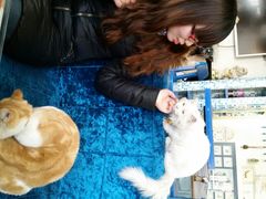 android_upload_pic-Sirena海妖日咖夜酒