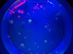 -多彩贵州城极地海洋世界