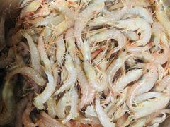 -青岛沙子口国家中心渔港