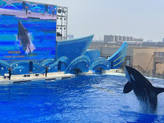 -上海海昌海洋公园