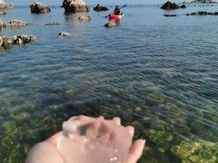 -养马岛旅游度假区