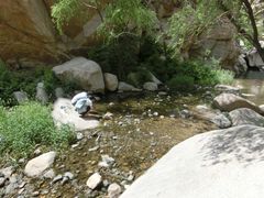 -碓臼峪自然风景区