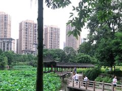 -龙头寺公园