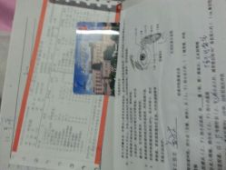 -上海交通大学医学院附属上海儿童医学中心(陆家嘴总院区)