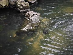 -普陀山风景名胜区-法雨禅寺