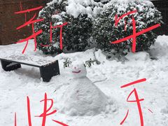 -刘胖子家常菜·蹄花焖藕(中南店)