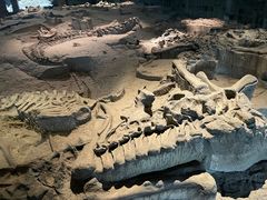 -自贡恐龙博物馆