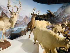 -陕西自然博物馆