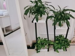 -香秀空间科技抗衰·美容中心