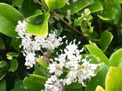 -下渚湖国家湿地公园科普馆