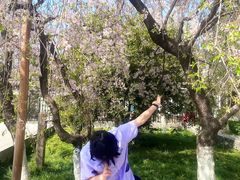 -西安青龙寺遗址景区