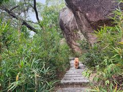 -青芝山风景名胜区