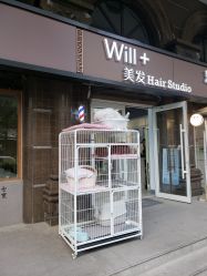 -Will+ Hair Studio