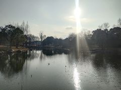 -苏州金鸡湖大酒店