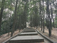 -火炉山森林公园