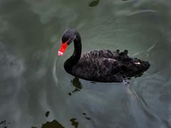 -海南热带野生动植物园