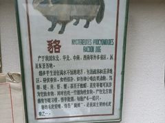 -北京动物园-畅观楼