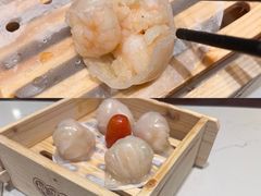 悦满楼虾饺皇-悦满楼·西关名点·湛江名菜(航空综合大厦店)