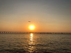 -宝安西湾红树林湿地公园