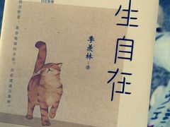 -石家庄正定国际机场-T2航站楼