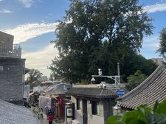 -Sirena海妖日咖夜酒