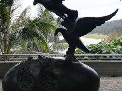 -广东惠东海龟国家级自然保护区