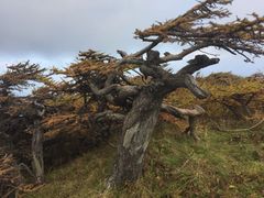 -秦岭风景区