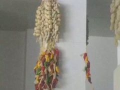 铁军鲜羊肉汤-铁军鲜羊肉汤