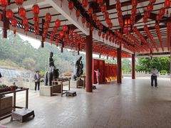 -三水森林公园