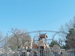 -保定市动物园