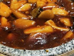 -素虎小呆鸟(西二旗店)