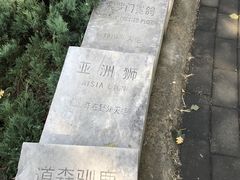 -北京麋鹿生态实验中心