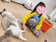 -1013 PET SHOP精品宠物商店(丁香店)