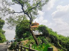 -广州市白云山风景名胜区