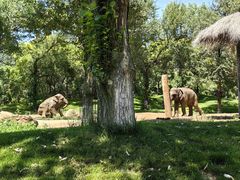 -北京野生动物园