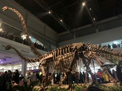 -自贡恐龙博物馆