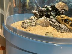 -海合安武汉极地海洋公园