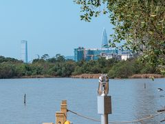 -华侨城湿地公园