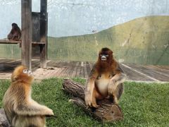 -大连森林动物园